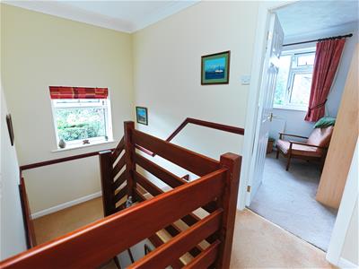 Picture 24